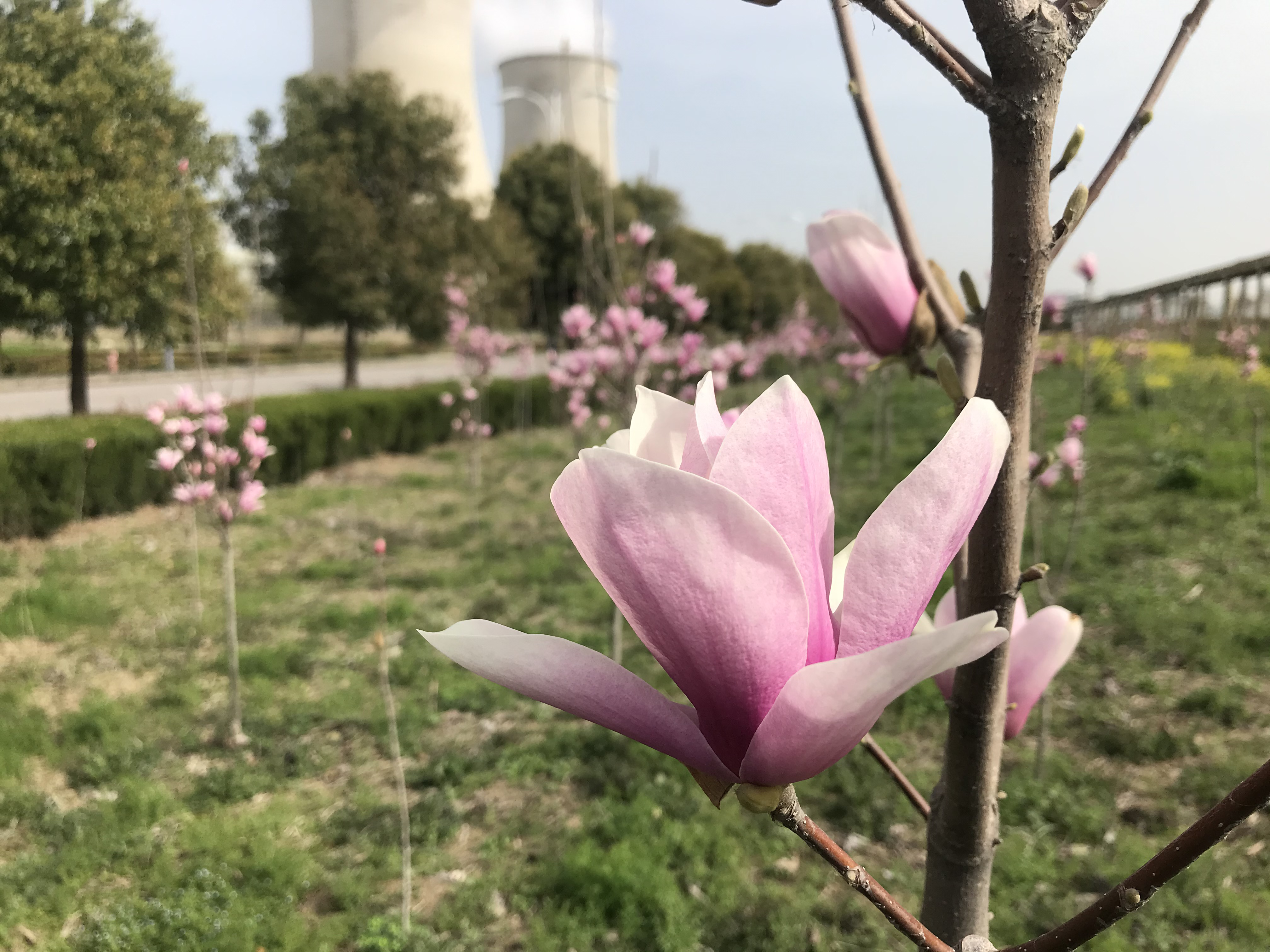 酷游九州(中国)集团有限公司官网