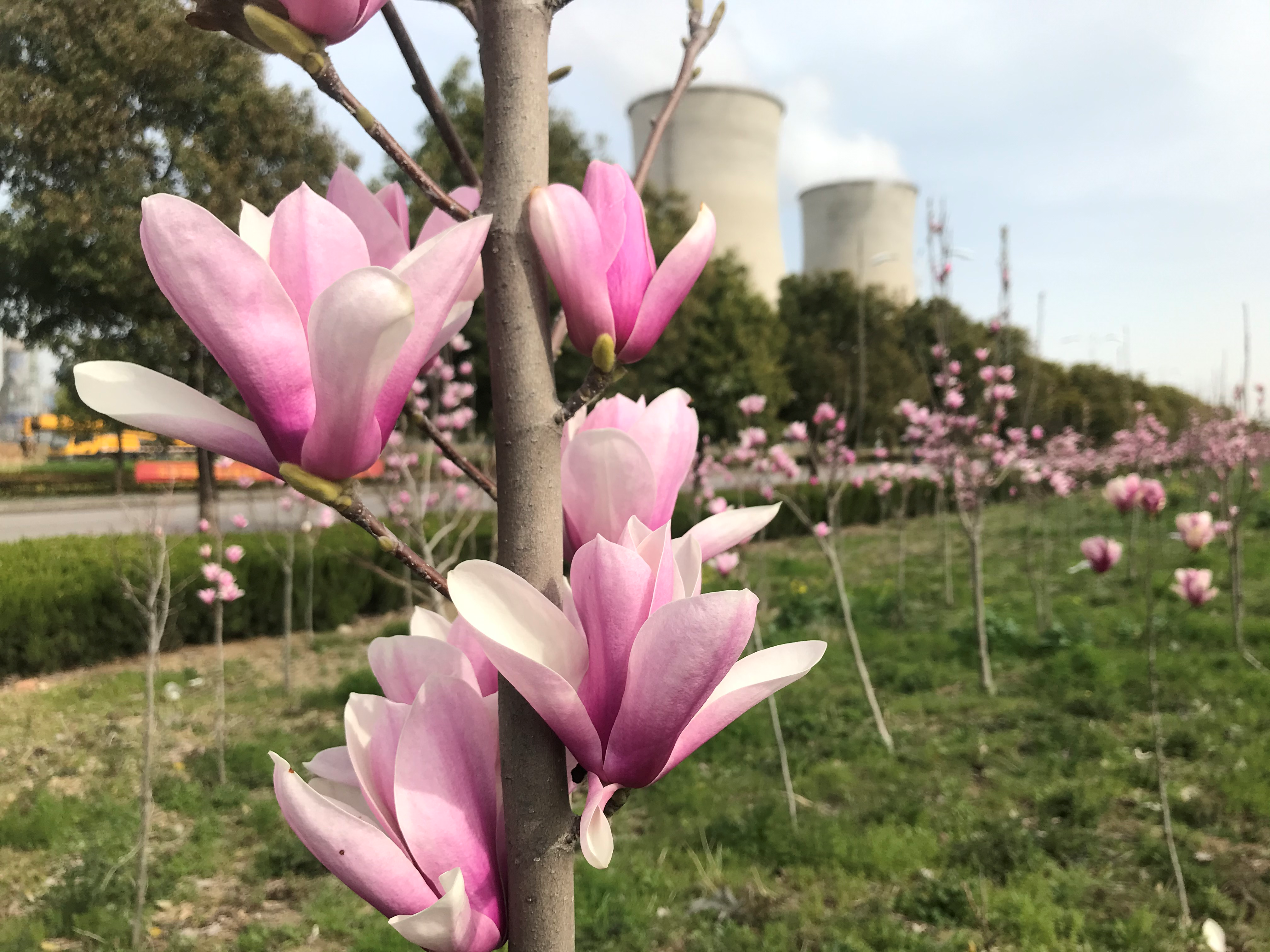 酷游九州(中国)集团有限公司官网