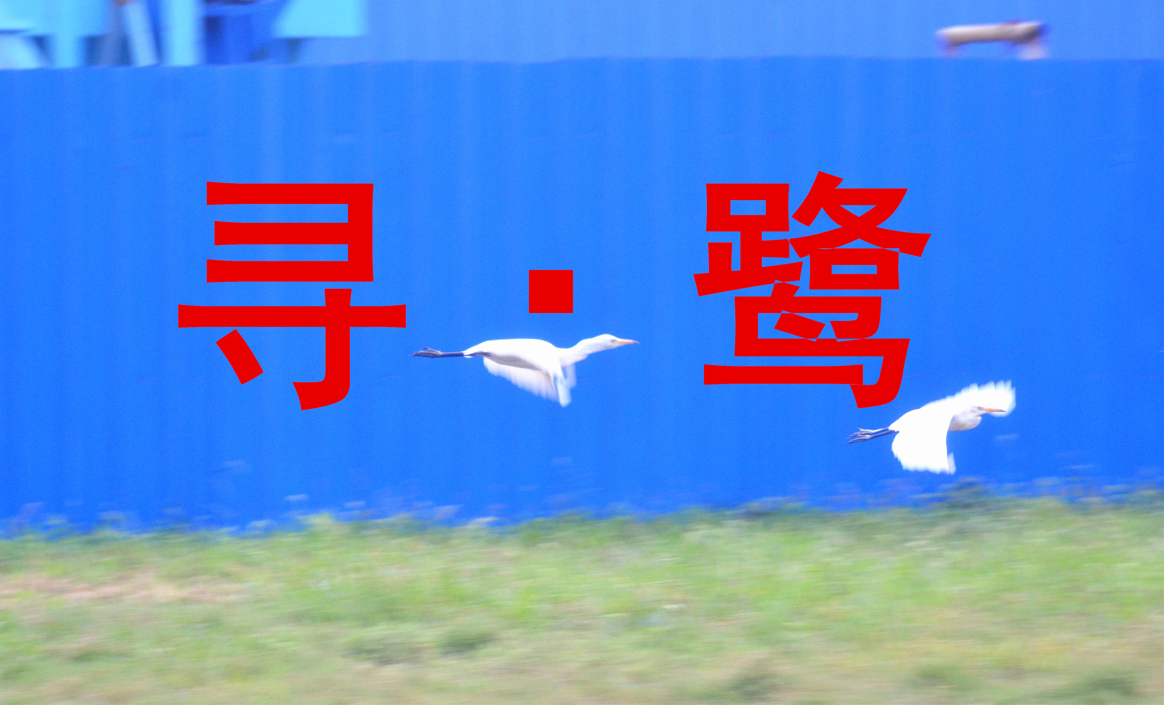 ξ(й)޹˾