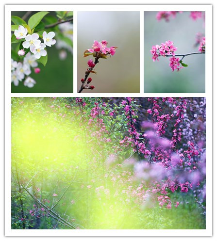 酷游九州(中国)集团有限公司官网