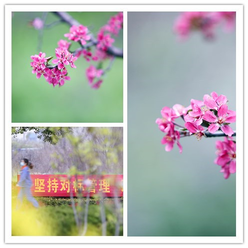 酷游九州(中国)集团有限公司官网