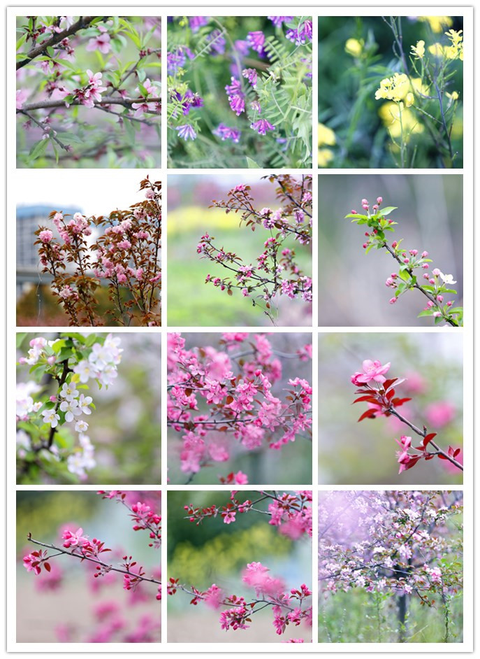 酷游九州(中国)集团有限公司官网