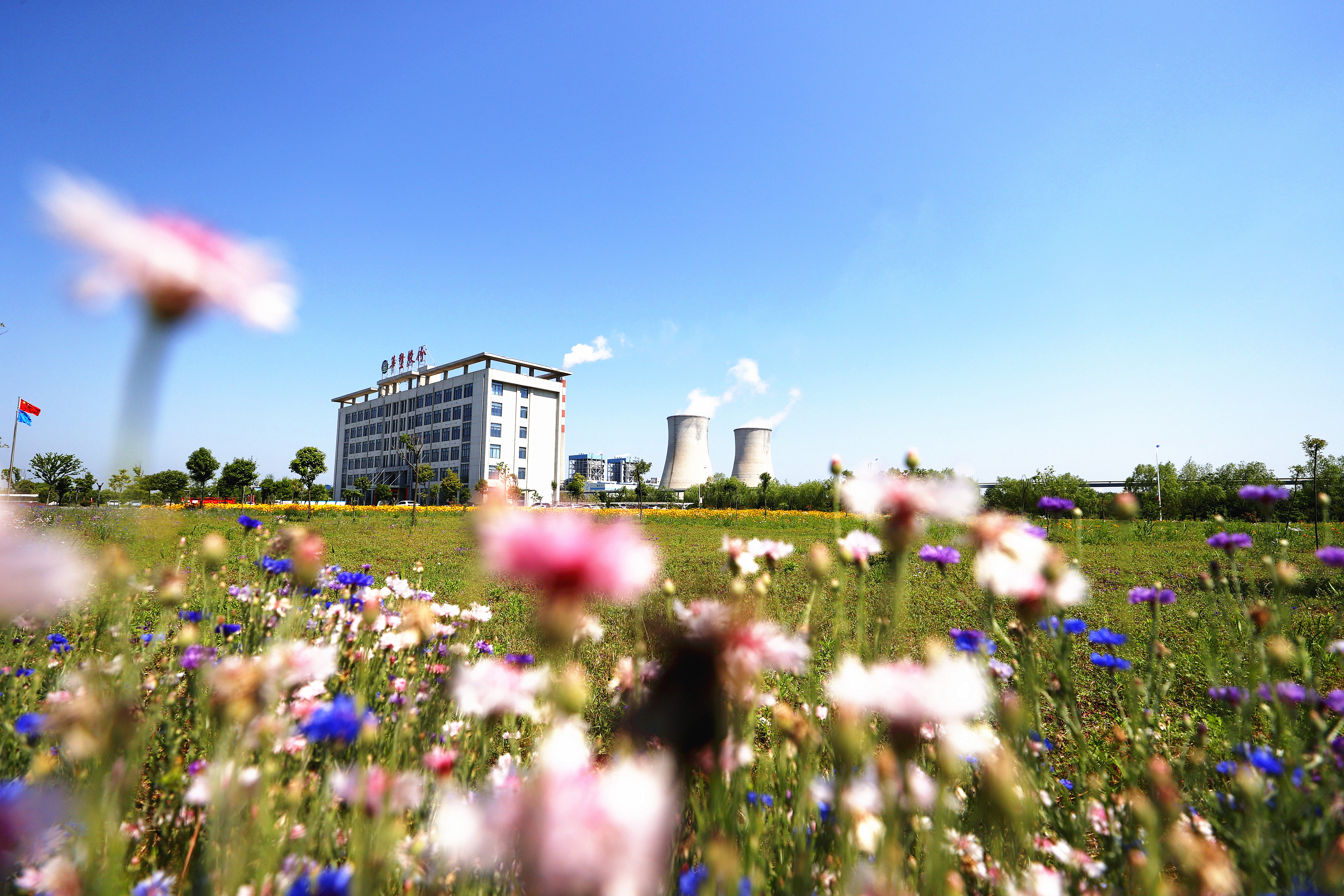 ¿áÓξÅÖÝ(Öйú)¼¯ÍÅÓÐÏÞ¹«Ë¾¹ÙÍø