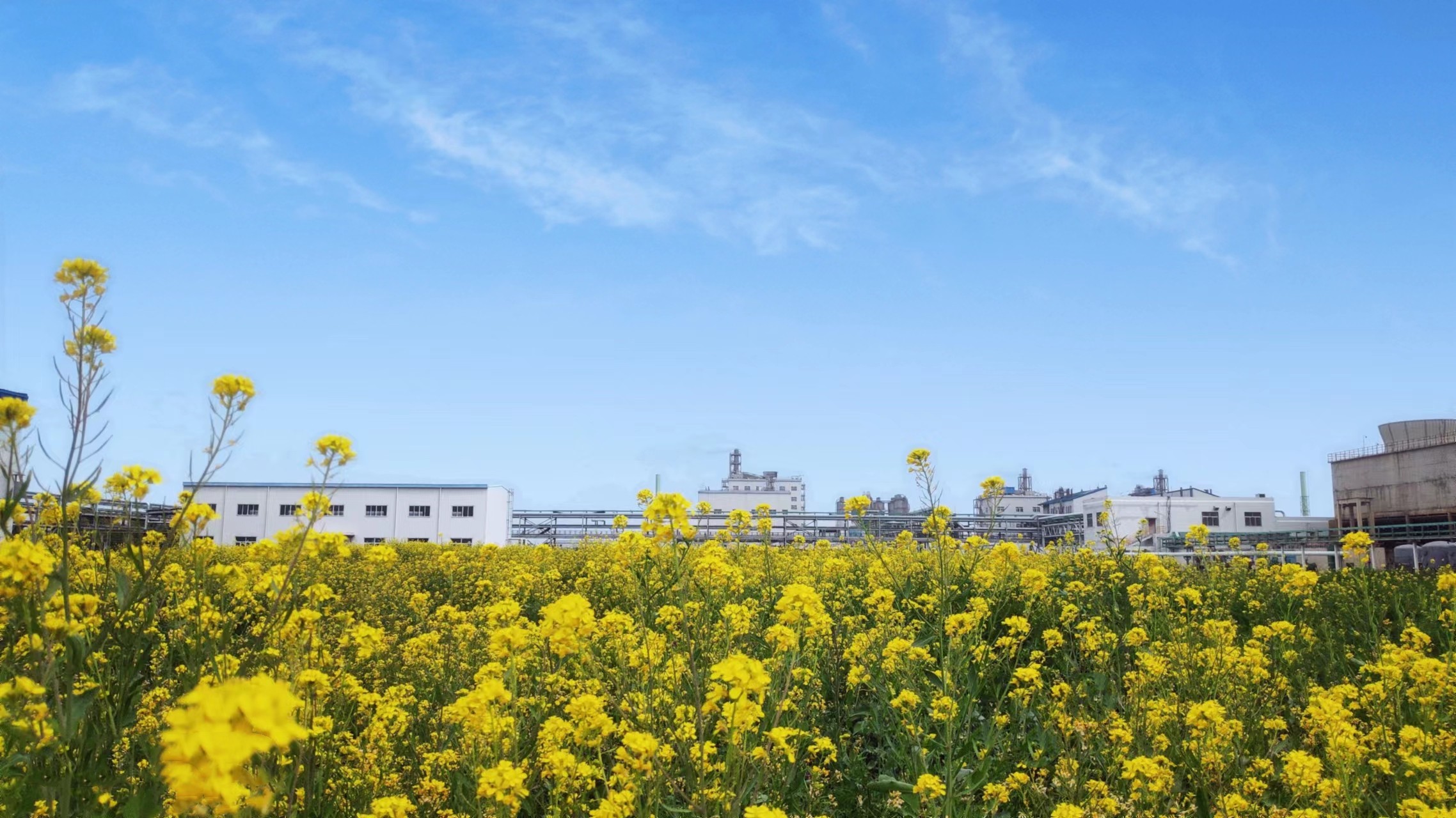 酷游九州(中国)集团有限公司官网